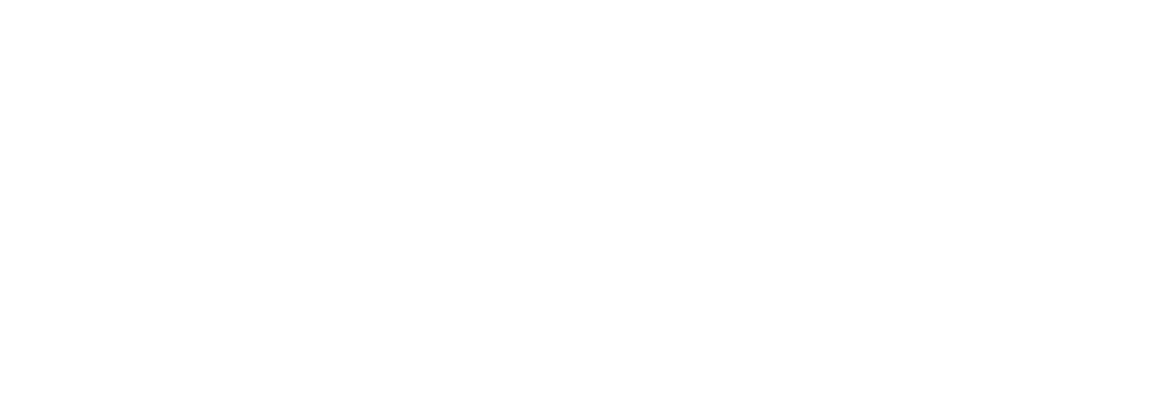 British University Connection